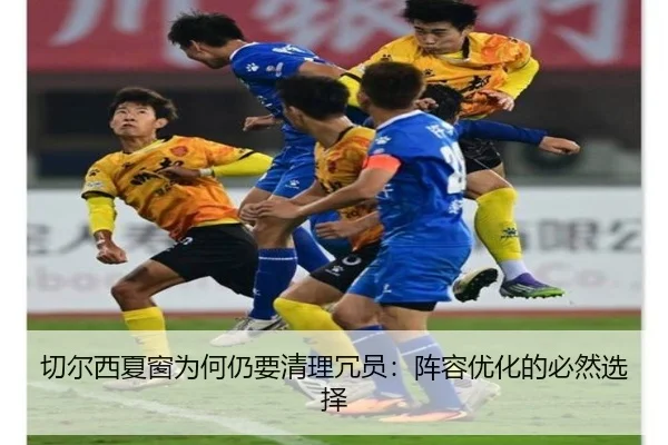 img_1781429895534_63_1_931.jpg